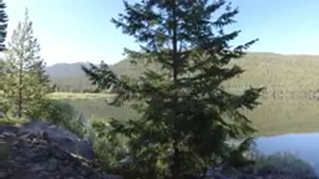 WINTER PARK COLORADO-2019: View From The Side Of A Lake With Trees Covering A Hill