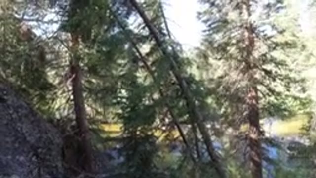 WINTER PARK COLORADO-2019: A Large Forest With Rocks And A Lake With A Torrent