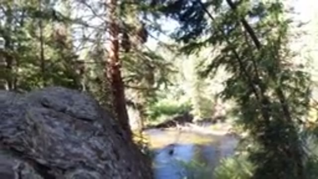 WINTER PARK COLORADO-2019: Water Flowing in the Middle of the Forest Area