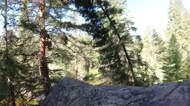 WINTER PARK COLORADO-2019: A View Of Rocks And Several Trees In A Forest