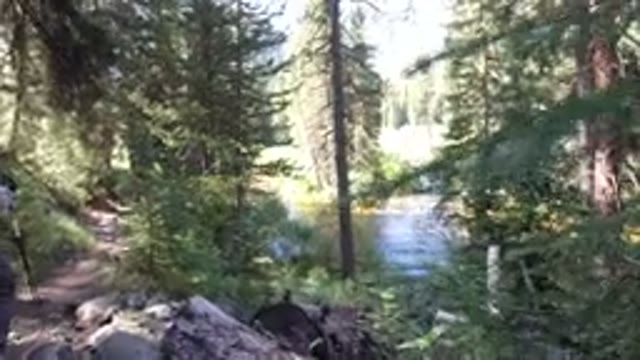 WINTER PARK COLORADO-2019: A View Of Nature With Very Tall Trees And A Lake
