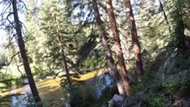 WINTER PARK COLORADO-2019: The Beauty Of Nature Shines Through The Trees In This