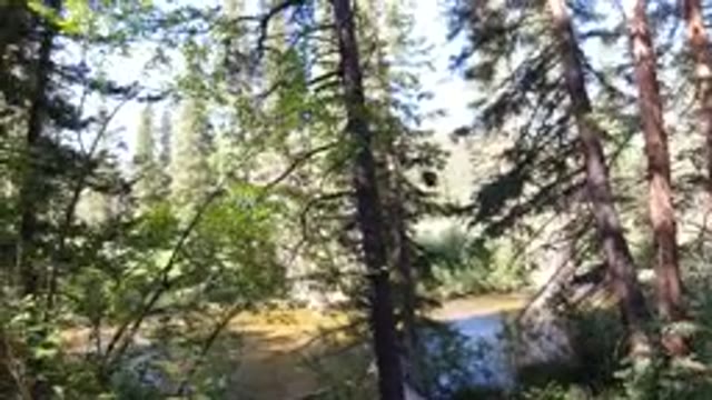 WINTER PARK COLORADO-2019: Showing Footage Of The Beautiful Forest Filled With