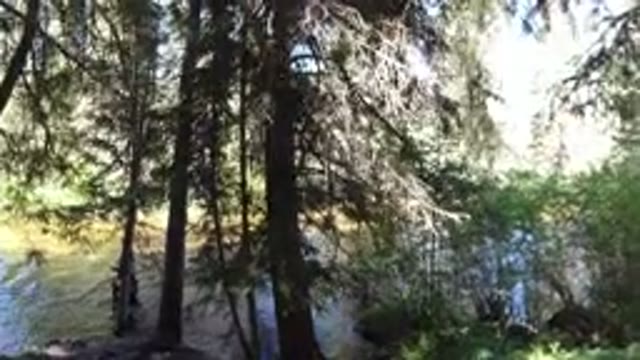 WINTER PARK COLORADO-2019: Two People Hike Next To River With Lots Of Trees
