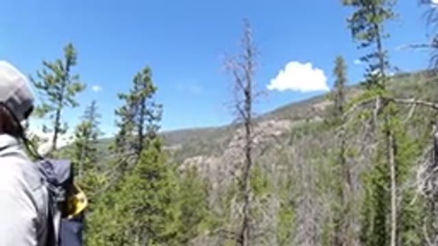 WINTER PARK COLORADO-2019: A Man Walks Through a Forest Filled With Green Trees