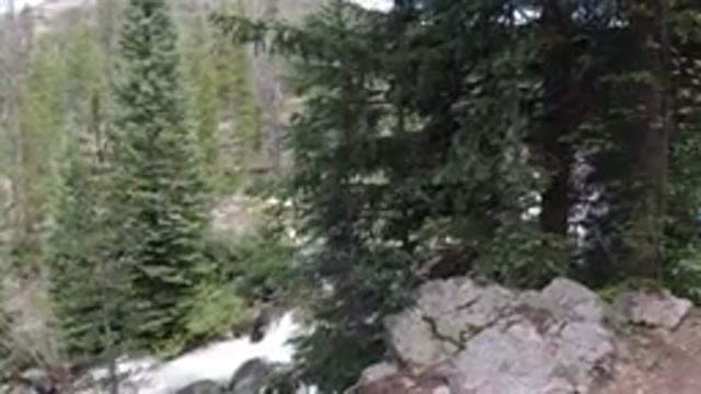 WINTER PARK COLORADO-2019: People Walking On A Trail In A Pine Forest