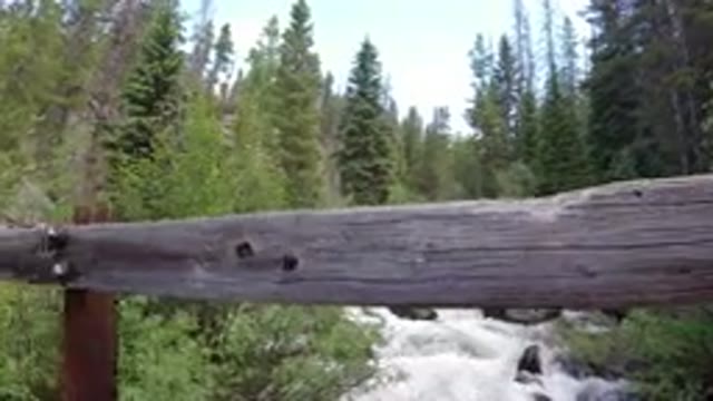 WINTER PARK COLORADO-2019: People Are Walking In The Middle Of The Forest Area