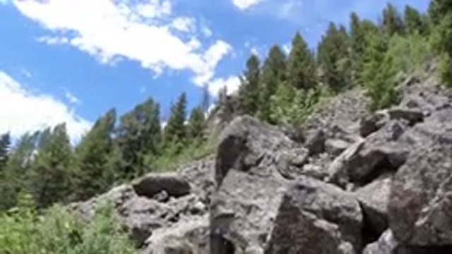 WINTER PARK COLORADO-2019: A View Of The Nature With Tall Trees And Ton Of Rocks