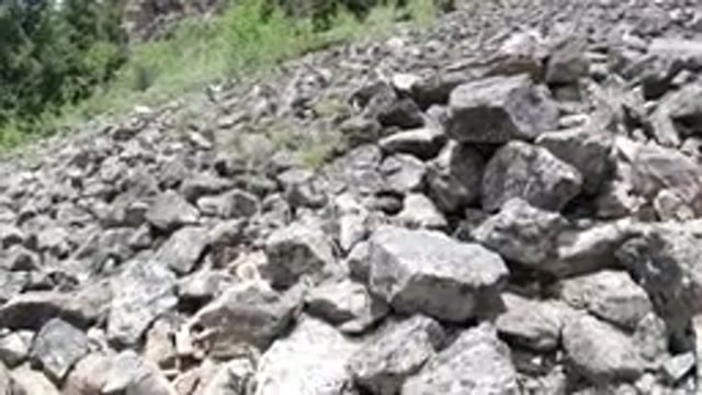 WINTER PARK COLORADO-2019: Drove View Trees And Stones Small Stones And Big