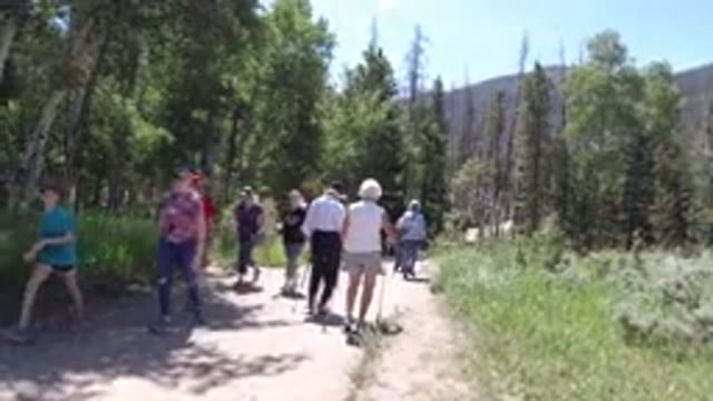 WINTER PARK COLORADO-2019: People And Dogs Walking In A Park With Lots Of Trees