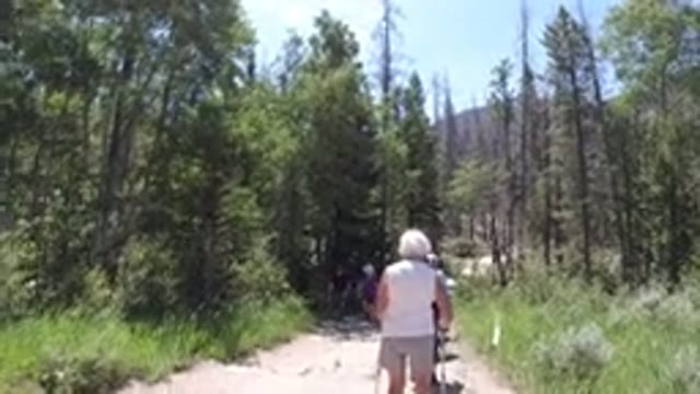 WINTER PARK COLORADO-2019: Hiking In The Woods Around Mountains On A Hot Summer Day