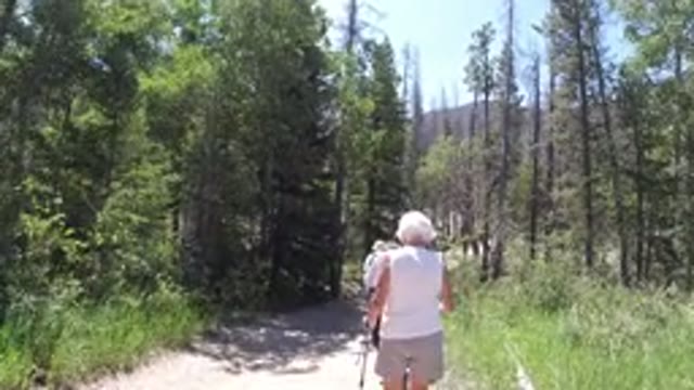 WINTER PARK COLORADO-2019: A Group Of Elderly People Hike Through The Trail In A