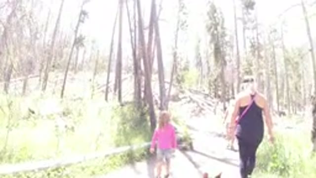 WINTER PARK COLORADO-2019: Family In The Forest With Little Girl In Pink