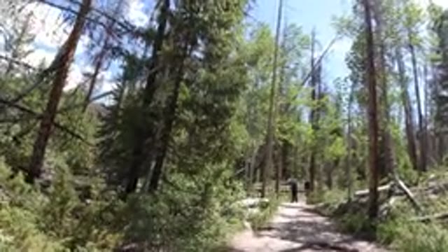 WINTER PARK COLORADO-2019: Video Of Someone Walking Through A Nature Trail