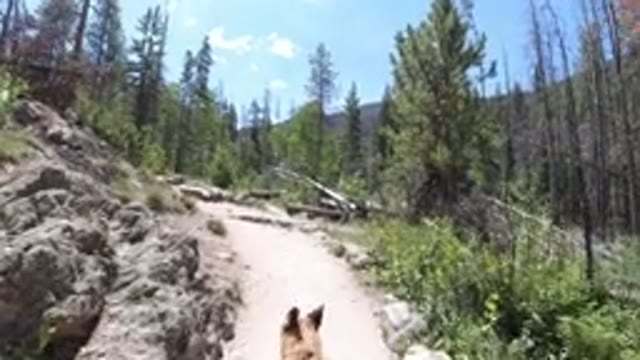 WINTER PARK COLORADO-2019: A Wrangler Red Dirt Road With Vibrant Greenery On All Sides