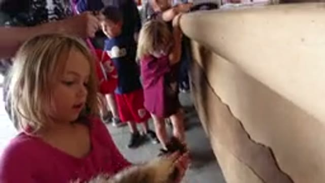 WINTER PARK COLORADO-2019: Girl Goes To The Museum And Has Contact With Animal