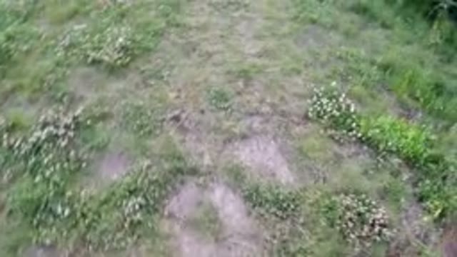 WINTER PARK COLORADO-2019: Someone In Their Backyard With Their Hyper Dog Just