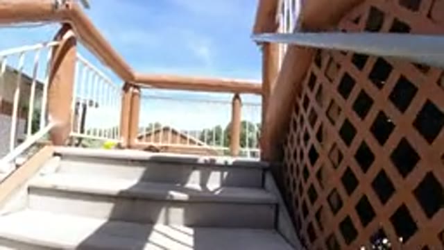WINTER PARK COLORADO-2019: Video Of Someone Walking Up A Flight Of Stairs