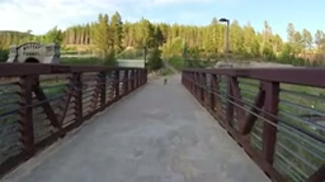 WINTER PARK COLORADO-2019: A View Of Nature From A Bridge Point Of View With A Dog In