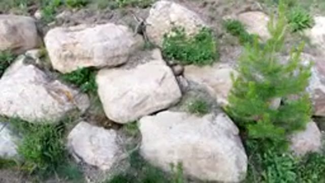 WINTER PARK COLORADO-2019: Camera Pans From Right To Left Showing Rock Boundary