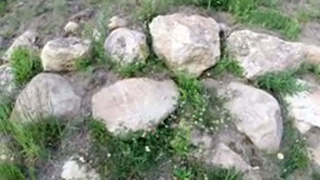 WINTER PARK COLORADO-2019: Simple Wall Of Rocks Grass And Wildflowers Near A