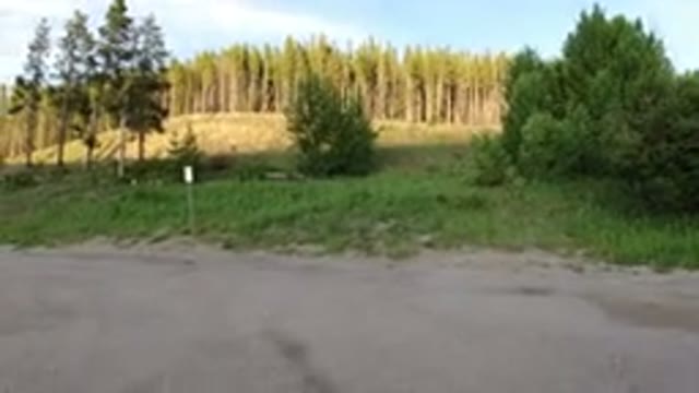 WINTER PARK COLORADO-2019: Trees With The Sun Views Has Been Taken