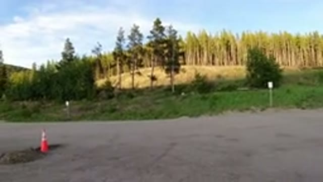 WINTER PARK COLORADO-2019: Beautiful Clean Forest in Winter Park