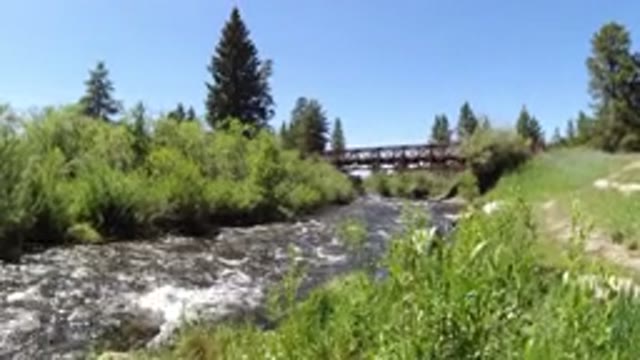 WINTER PARK COLORADO-2019: Dog Barks While Standing On Tall-Grass Plains Near