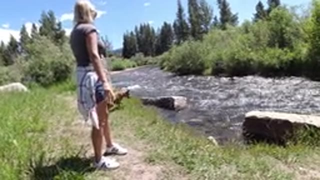 WINTER PARK COLORADO-2019: Family Playing Next To The River With A Dog Throwing Sticks