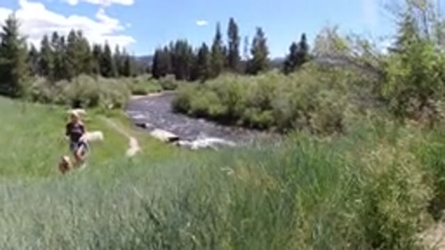 WINTER PARK COLORADO-2019: Two Women Walking With Dogs Near A Creek On A Sunny