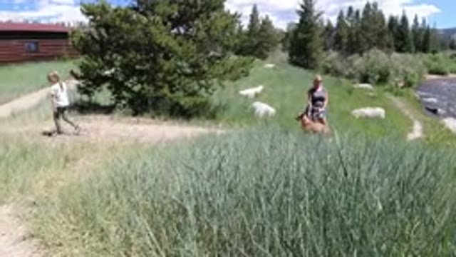WINTER PARK COLORADO-2019: Family With Dog Seen Walking Man By Stream Near
