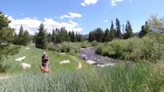 WINTER PARK COLORADO-2019: A Woman Walking Her Dog Along the River