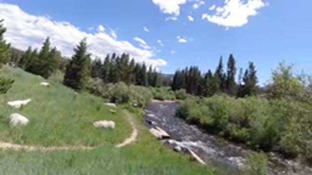 WINTER PARK COLORADO-2019: A Small Stream Flowing Over the Ground Amid Trees and Sky