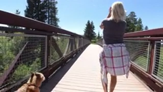 WINTER PARK COLORADO-2019: Sunday Walk On A Wooden Bridge Over River With My Dog