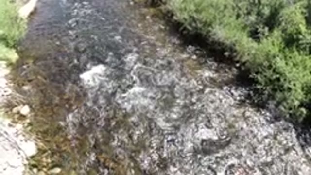 WINTER PARK COLORADO-2019: A Swift Creek Is Flowing Through Grassland