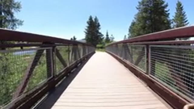 WINTER PARK COLORADO-2019: Walking On A Bridge In The Nature With The Dog