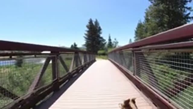 WINTER PARK COLORADO-2019: Young Boy Walking on Snowy Bridge in Winter Park