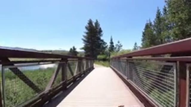 WINTER PARK COLORADO-2019: Foot Over Bridge Amid Green Trees and Sunlight