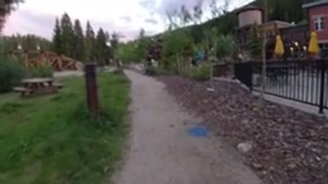 WINTER PARK COLORADO-2019: Walk In A Forest Park Where You Can See Many Trees