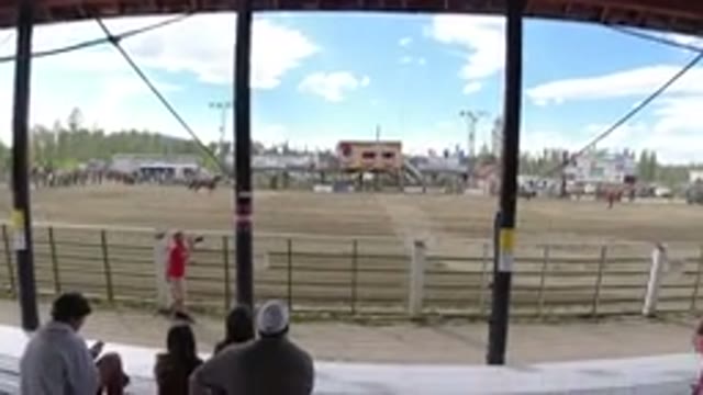 WINTER PARK COLORADO-2019: A Horse Diving Through Sand in a Sunny Field
