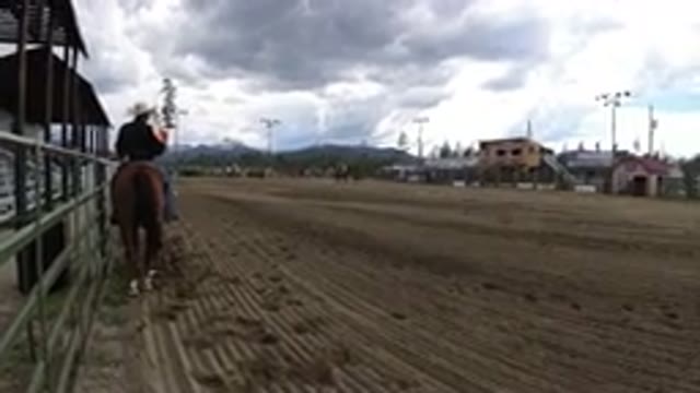 WINTER PARK COLORADO-2019: Cowboy On Horseback Chases A Steer At A Rodeo Arena