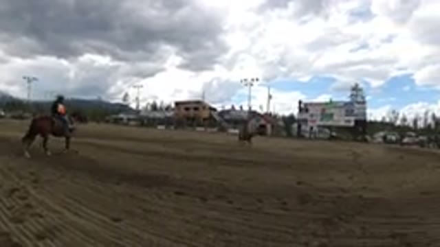 WINTER PARK COLORADO-2019: Rodeo With Horses And Calves
