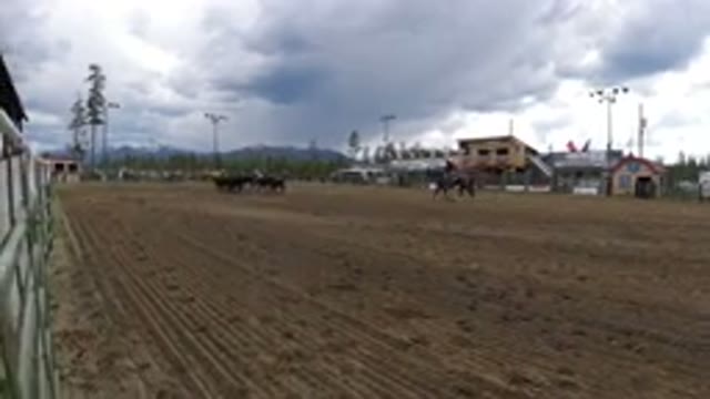 WINTER PARK COLORADO-2019: Grassless Field Surrounded With People Riding Horses