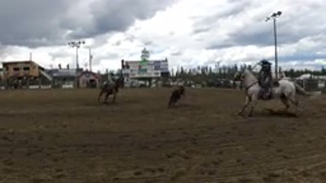 WINTER PARK COLORADO-2019: Two Men Riding Horses Together Trying To Catch Cow