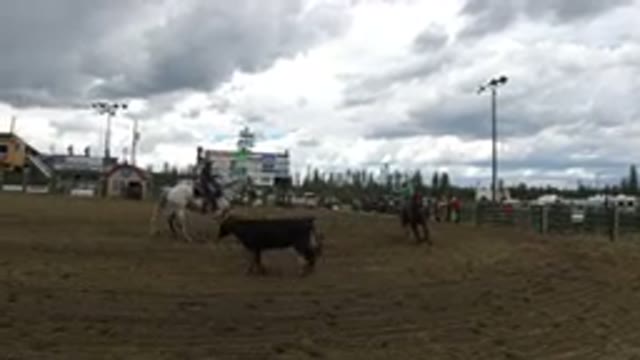 WINTER PARK COLORADO-2019: Horse Riding Competition On The Way