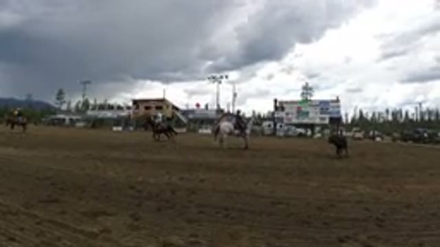 WINTER PARK COLORADO-2019: Cowboys On Horseback Trying To Lasso Runaway Bull
