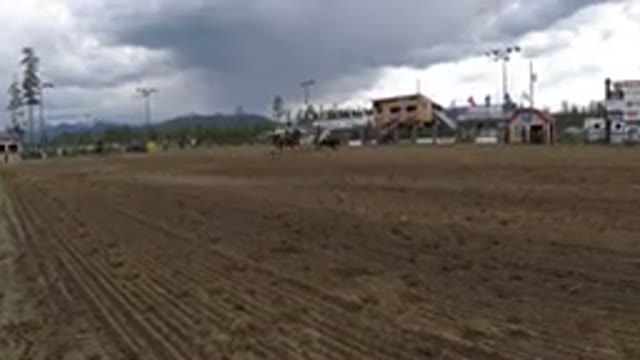 WINTER PARK COLORADO-2019: Two Cowboys On Horses Herding A Calf At A Rodeo