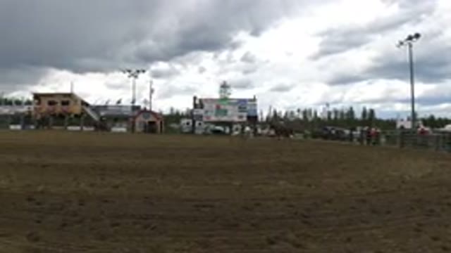 WINTER PARK COLORADO-2019: Best County Fair With A Variety Of Animals Including