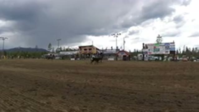 WINTER PARK COLORADO-2019: Two Men On Horses Wrangling A Bull During A Rodeo
