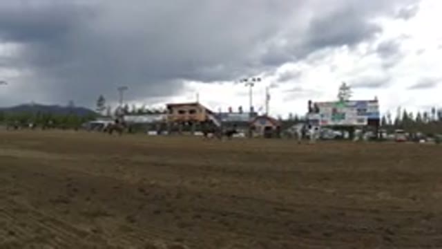 WINTER PARK COLORADO-2019: Men On Horseback And Dismounted Capturing Bull In Field